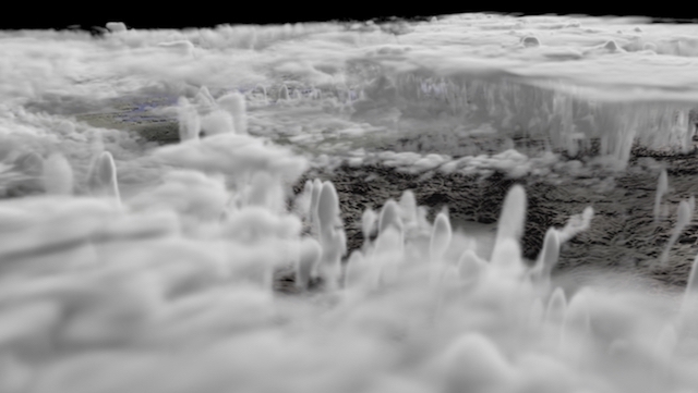 HDCP2 ICON-LEM simulation