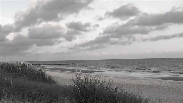 Düne mit grünem Gras mit dem meer im Hintergrund (Schwarz-weiß)