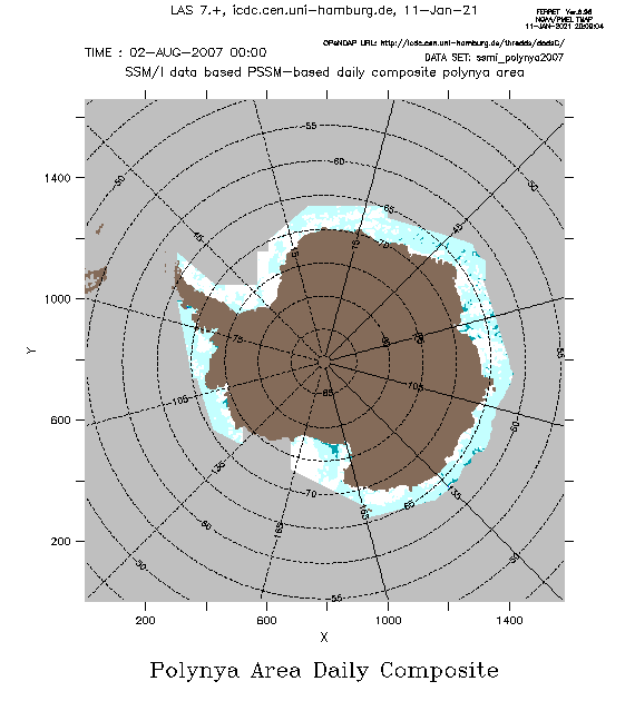 Arctic Polynya August 2007