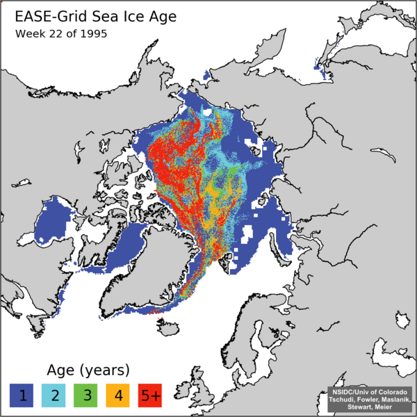 Ice age week 22