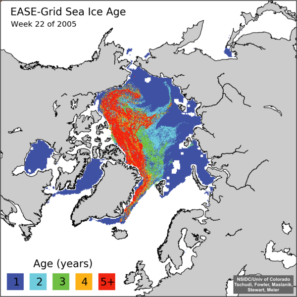 Ice age week 22