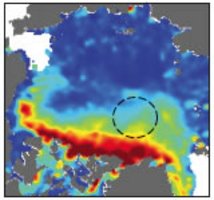 Sample map of the ICESat-data based Arctic sea-ice thickness distribution for the period October/November 2005.