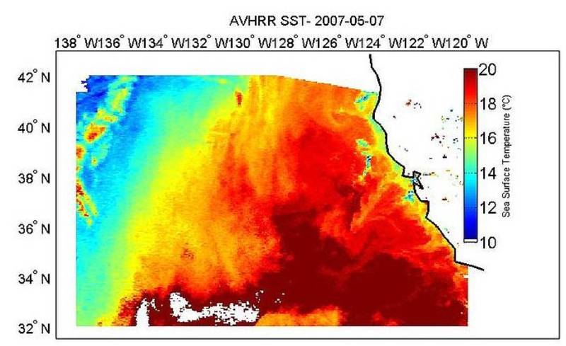 The SST observations off the coast of California.