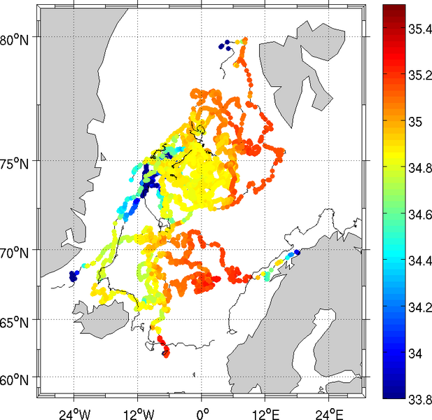 Surface drifter set. (A) Trajectories of 30 drifters released in the