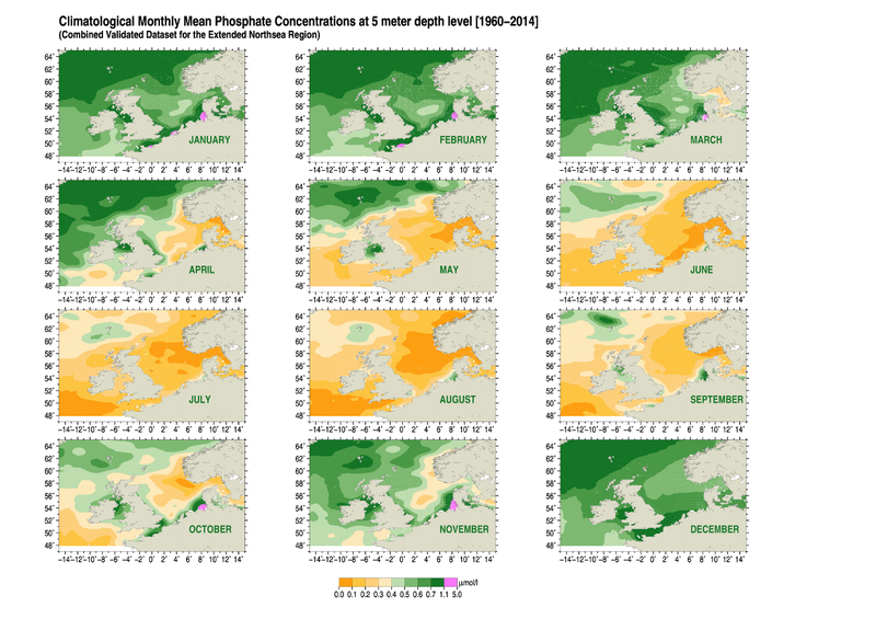 Climatological monthly mean phosphate concentrations at 5 meter depth level, 1960-2014