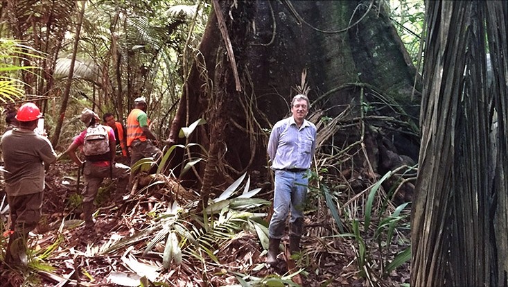 Michael Köhl in den Wäldern Surinams